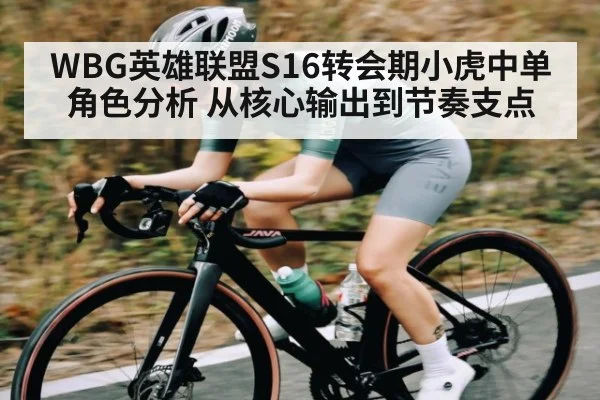 WBG英雄联盟S16转会期小虎中单角色分析 从核心输出到节奏支点